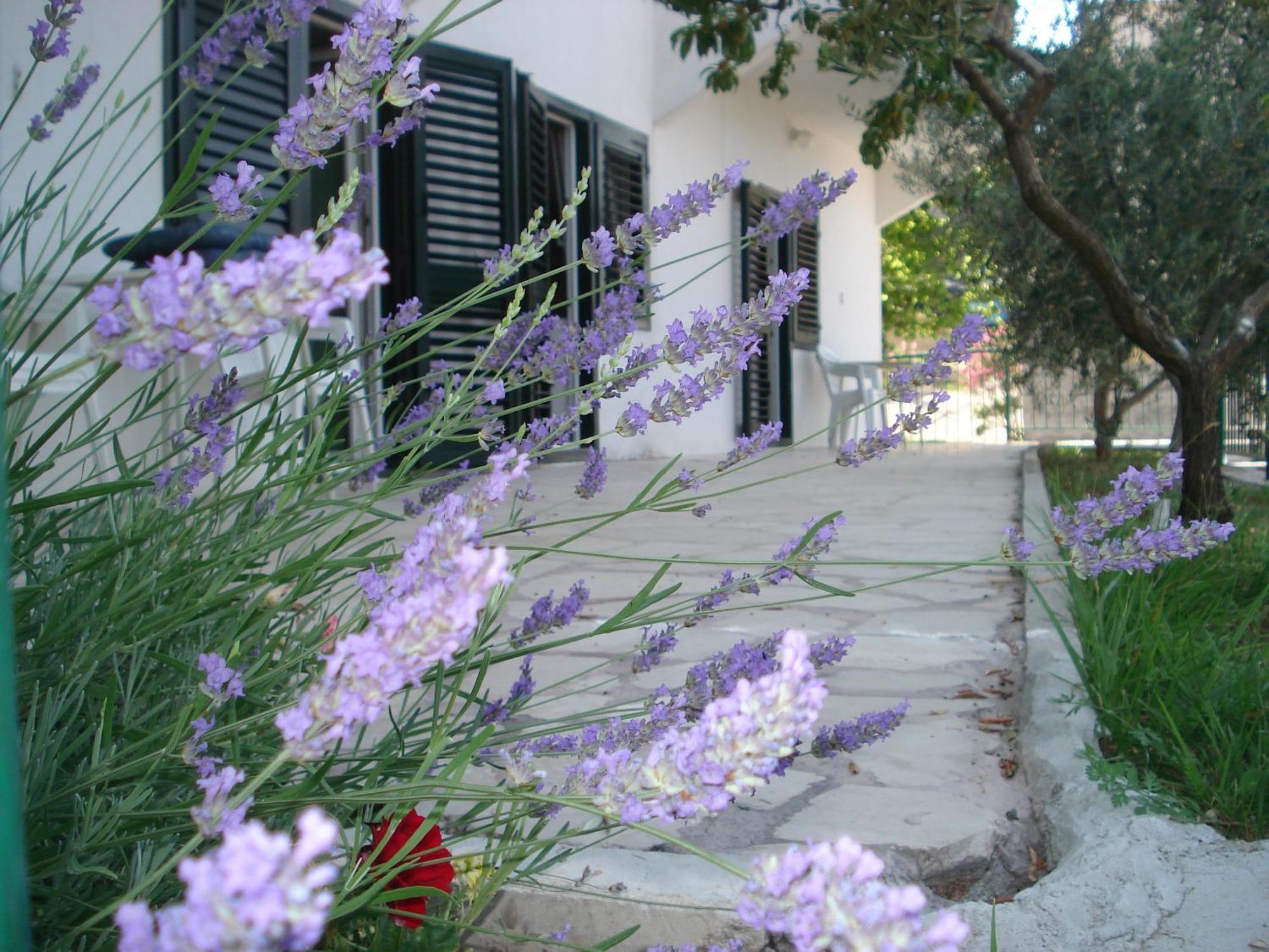 Apartments Smiljana Omiš Exterior foto